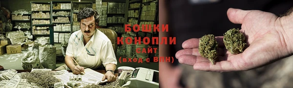 Альфа ПВП Инта