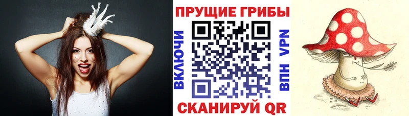 Псилоцибиновые грибы GOLDEN TEACHER блэк спрут ссылки Ливны купить